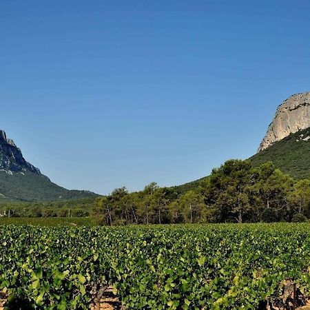 Valflaunes Gite Du Pic Saint Loup מראה חיצוני תמונה