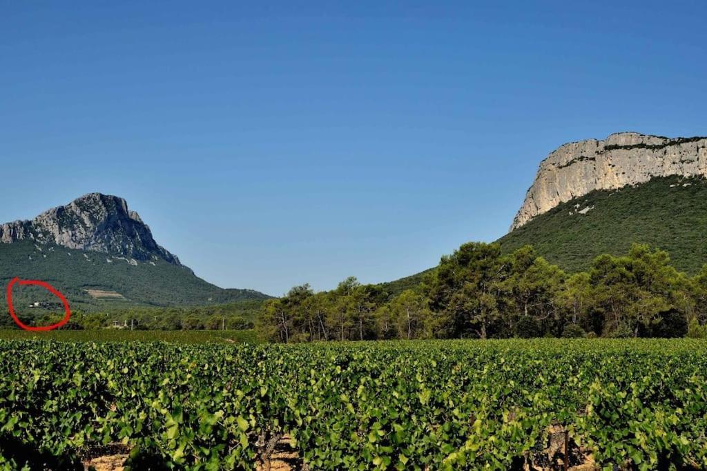 Valflaunes Gite Du Pic Saint Loup מראה חיצוני תמונה
